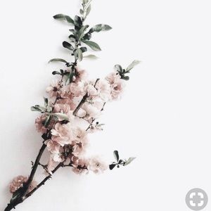 Meet your Posher, Rhiannon